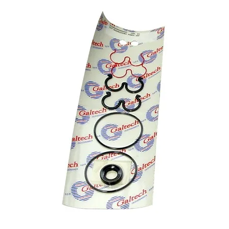 POCHETTE DE JOINTS POUR POMPE GALTECH 2X FLASQUE STD Ø18 - 5GKGP2X003