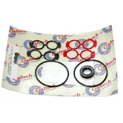 POCHETTE DE JOINTS VITON FKM POUR MOTEUR GALTECH 2SM BIDIRECTIONNEL - 012007900000009