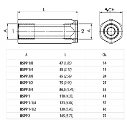 VUR112SP0.5 : Clapet anti-retour en ligne 1''1/2