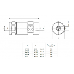 VRPE140 : Clapet anti-retour simple piloté 1/4''