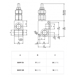 Limiteur de pression 1/4'' - VMDR10140C4