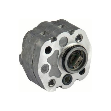 POMPE ENGRENAGES GROUPE 1 - 2,1CC SERIE G - E60603004