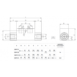 VRSE380 : Clapet anti-retour simple piloté 3/8''