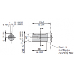 KIT ARBRE 12 (CYLINDRIQUE Ø15) POUR POMPE 2SP/2SM 4CC