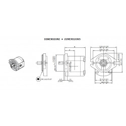 2XP-A-040-D-SAEA-B-N-14-0-T20T15 - 1GP20012801