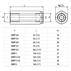 CLAPET ANTI-RETOUR 1/8'' A CONE - VUR180SP0.5